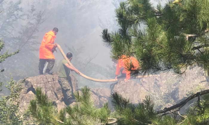 “Situata e zjarrit të rënë në Maja Rrunës”, Mbrojtja Civile: Dy vatrat po mbahen në kontroll, ende nuk janë izoluar