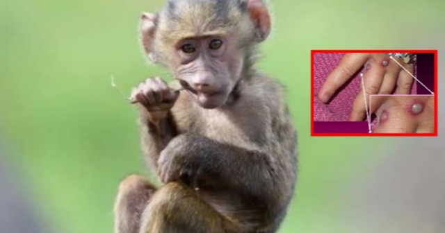 Çfarë ka ndodhur? Aurela Gaçe tërhiqet përkohësisht nga muzika