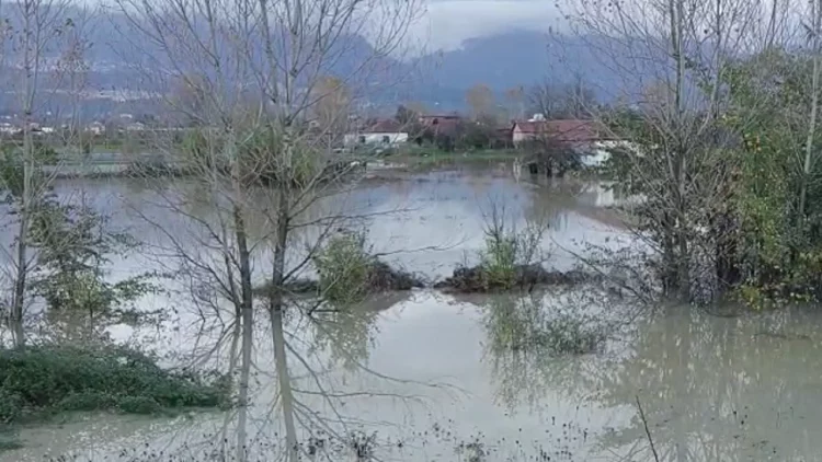Rrëfimi: Si i njihja viktimat që mori rrjedha e lumit në Bogë