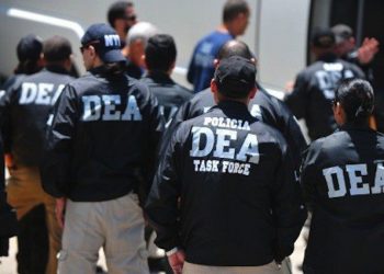 Detajet/ Droga që u gjet në Fier erdhi nga Kolumbia