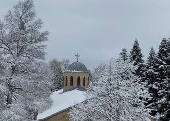 VIDEO/ Dardha e Korçës zbardhet nga bora