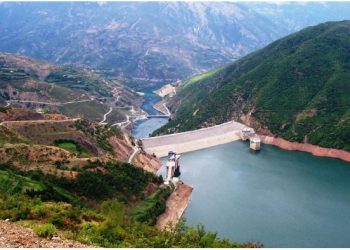 Reshjet përmirësojnë ndjeshëm kuotat në Fierzë