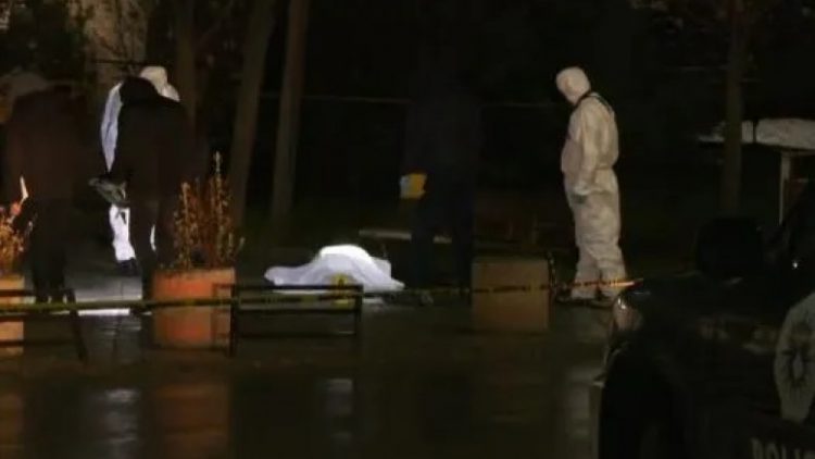 Vrasja e gruas në Prishtinë, ç’shkruajnë mediat serbe