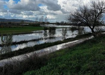 FOTO/ Përmbyten tokat në Krujë