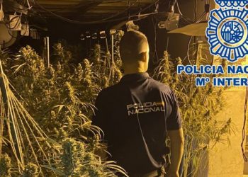 “Mbretër të drogës”, shkatërrohet banda e shqiptarëve në Spanjë