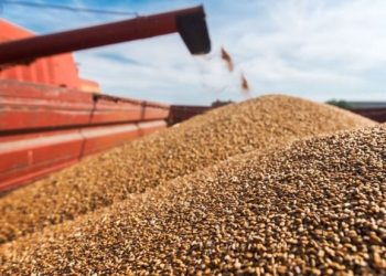 Zbardhen detajet për marrëveshjen e grurit të Detit të Zi