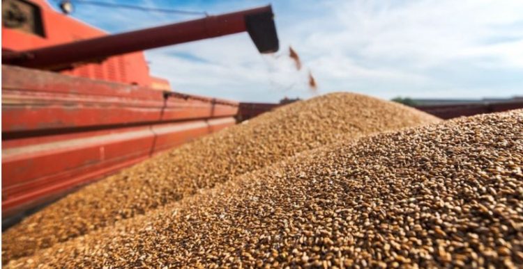 Zbardhen detajet për marrëveshjen e grurit të Detit të Zi