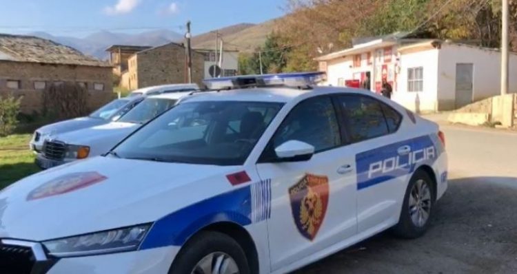 Në arrati prej vitesh, arrestohen dy vëllezërit krutanë