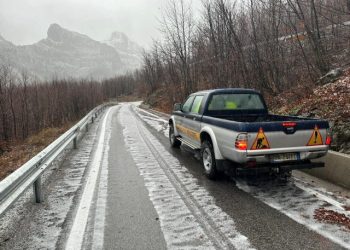 FOTO/ Bie bora e parë në Shqipëri