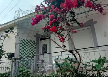 “Vrava 4 persona”/ Mbyti të moshuarën me jastëk, shokon 45-vjeçarja