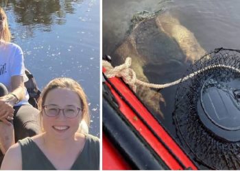 FOTO/ Krijesa me kthetra ariu tremb gratë