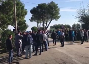 Ç’po ndodh në Divjakë? Banorët përplasen me policinë