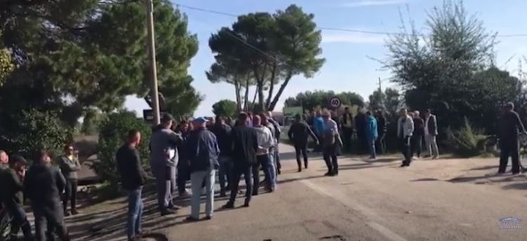 Ç’po ndodh në Divjakë? Banorët përplasen me policinë