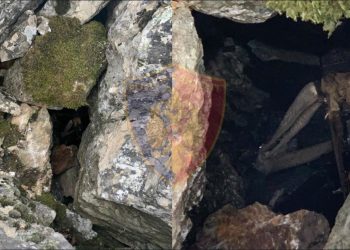 Plagosi 15-vjeçarin dhe fshehu armën, arrestohet dibrani