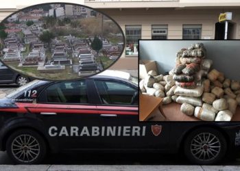 Policia zbulon laboratorin e drogës, arrestohet çifti shqiptar