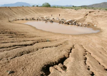 Të gjitha rajonet në botë janë përballur me mot ekstrem këtë vit