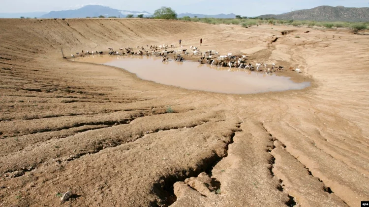 Të gjitha rajonet në botë janë përballur me mot ekstrem këtë vit
