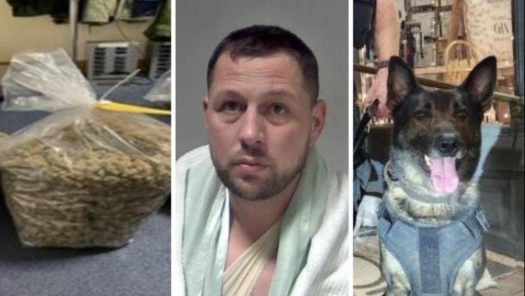 Shqiptari i ‘pafat’/ Ia mbath nga policia, por kapet nga qeni