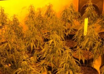 Shqiptarët e arrestuar në Britani: Më mirë në burg, se në Shqipëri