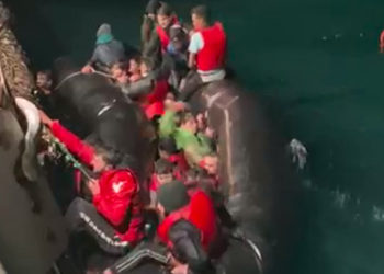 Zbardhet mesazhi zanor i emigrantëve para se të mbytej gomonia