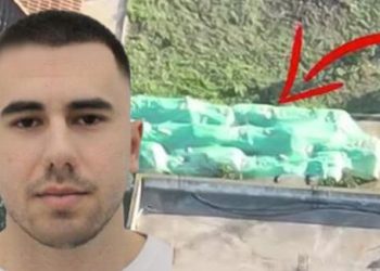 Detajet/ Denilson Çervanaku jepte 500-1000 euro në doganë