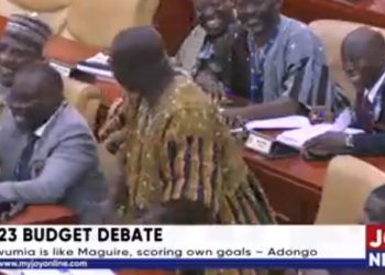 VIDEO/ Do qeshni me lot, në parlamentin ganez tallen me Maguire