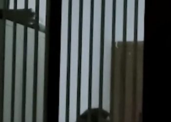 VIDEO/ Nëna e agresorit të Berishës jep dëshmi në polici