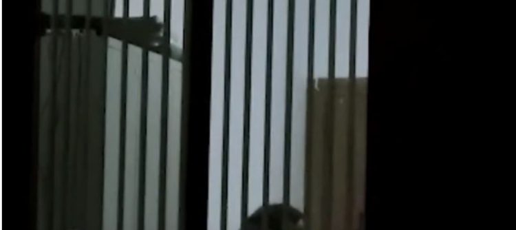 VIDEO/ Nëna e agresorit të Berishës jep dëshmi në polici