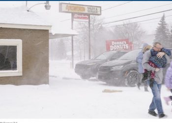 Shpëtoi familjen amerikane nga bora, ja çfarë thotë shqiptari