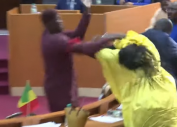 E TMERRSHME/ Sherr me karrige në parlamentin senegalez (VIDEO)