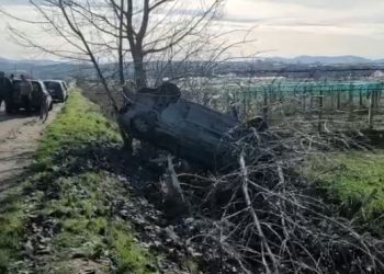Makina përplaset me pemën në Fier, i riu përfundon në spital