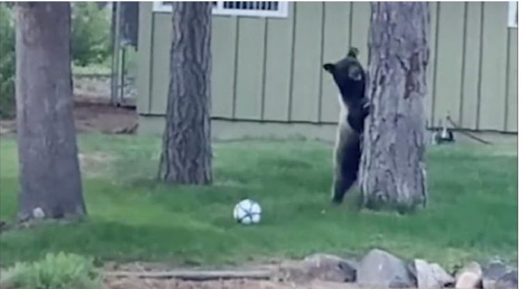 VIDEO/ Spektakël, ariu luan me top