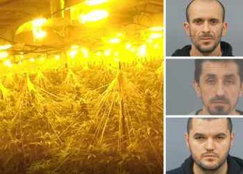 “Jeta në Shqipëri, e vështirë”/ Tre të rinjtë kapen në shtëpi bari