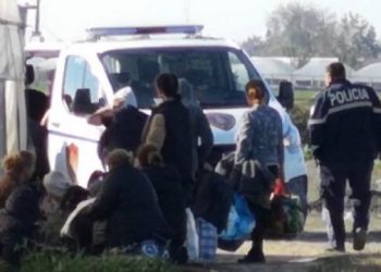 EMRAT/ Serat me drogë në Dimal, 3 vetë lihen në burg, 8 lirohen