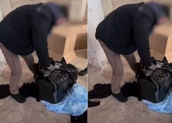 Kapet drogë me vlerë 700 mijë euro në Greqi, pranga shqiptarit