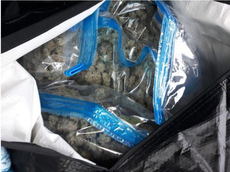 Me mbi 82 kg kanabis në banesa, arrestohen 2 shqiptarë në Greqi