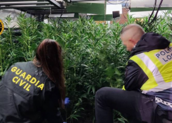 Policia kap “mat” çiftin shqiptar në Itali, strategjia që ndiqnin