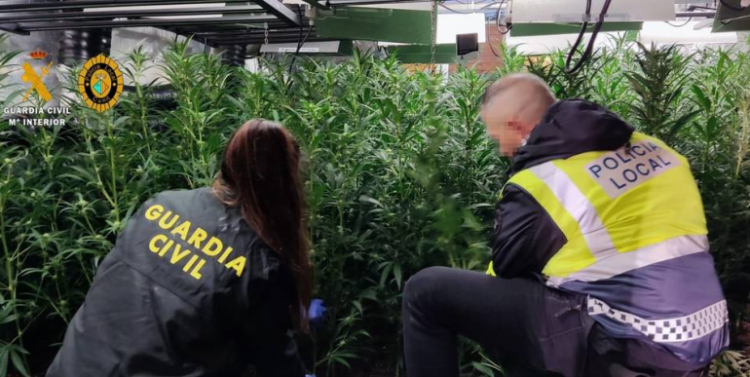 Policia kap “mat” çiftin shqiptar në Itali, strategjia që ndiqnin