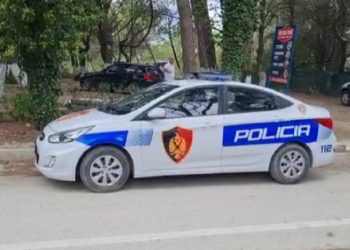 Elbasan, plas sherri mes policëve për një vajzë
