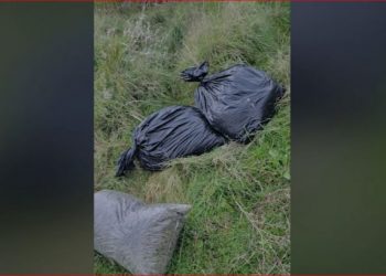 Sekuestrohen 17 thasë me kanabis, pranga 3 personave në Fier