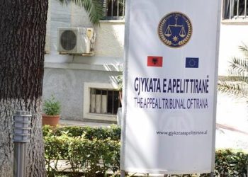 Sulmet kibernetike të Iranit, Apeli shfuqizon vendimet e marra