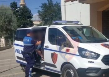 Plagosja në Kamzë për 500 euro, gjykata cakton masën ndaj autorit