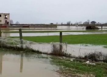 Përmbytjet në Krujë/ Toka ende nën ujë, izolohen 20 familje