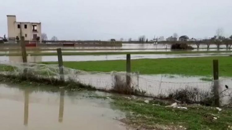 Përmbytjet në Krujë/ Toka ende nën ujë, izolohen 20 familje