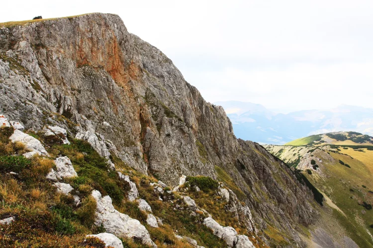 Ra nga 40 metra lartësi, shpëton mrekullisht i moshuari