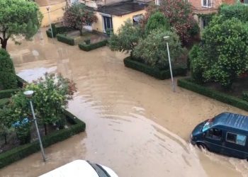 Lezha nën ujë, ja si paraqitet situata pas reshjeve të dendura