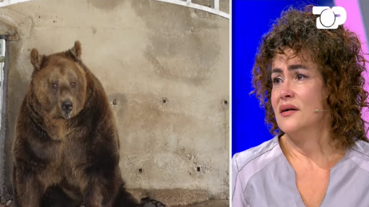 Aktivistja shpërthen në lot: Ariu Mark u torturua për 20 vite