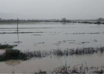 Përmbytje në Fushë-Krujë, lumi Ishëm del nga shtrati