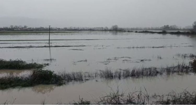 Përmbytje në Fushë-Krujë, lumi Ishëm del nga shtrati
