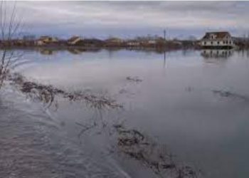 Shkodra e përmbytur, rrugë të bllokuara dhe qindra hektarë nën ujë